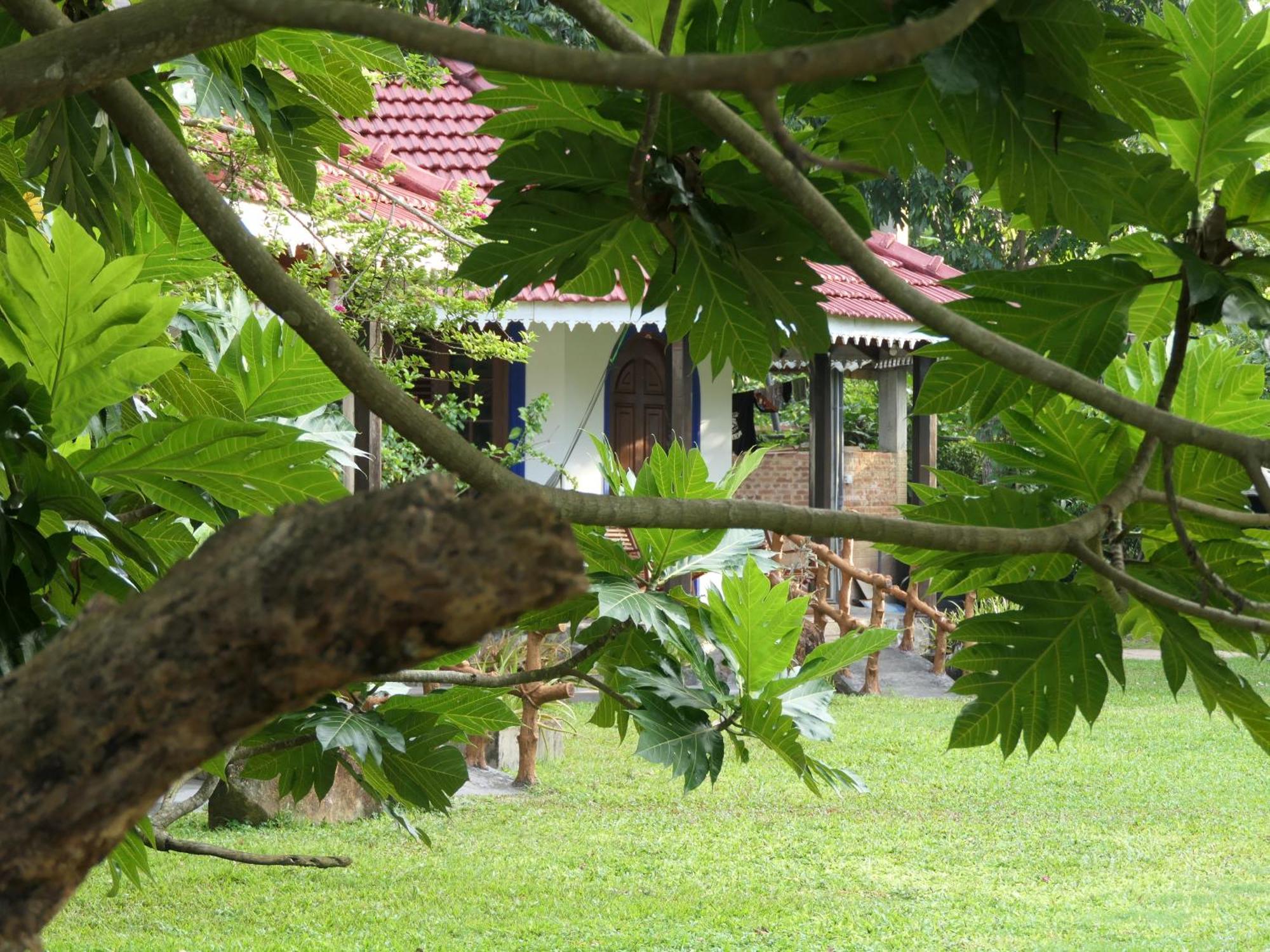 Subodinee Bungalow Велігама Екстер'єр фото